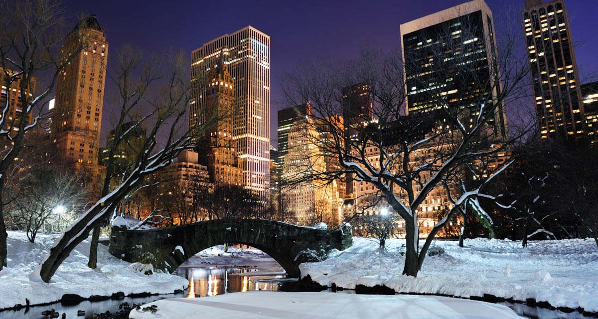 winter in central park
